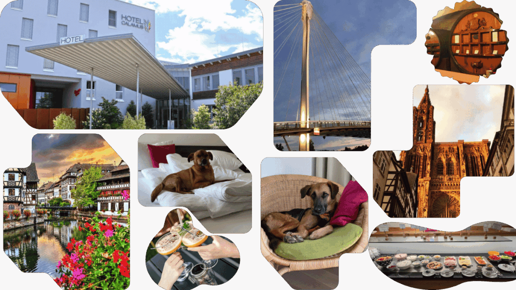 Hotel Calamus Kehl – Mit Hund nach Straßburg