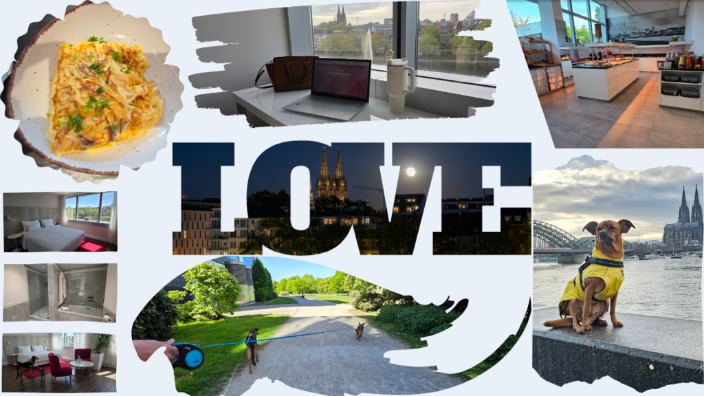 Collage aus Köln und NH Collection Mediapark: Kölner Dom, Mediapark, Hotelzimmer und Hunde beim Spaziergang